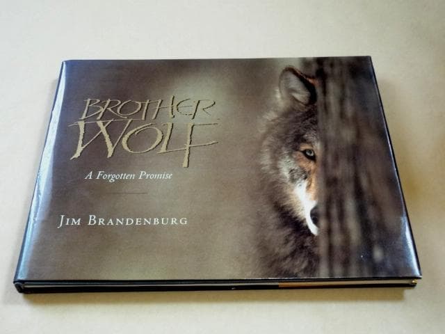 BROTHER WOLF オオカミ写真集 ☆ ジム・ブランデンバーグ 写真集