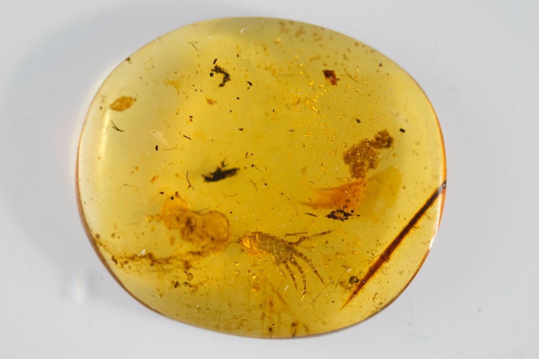 レア極上品 手TT0064虫入り琥珀化石ミャンマーカムティかタナイ9900万年前