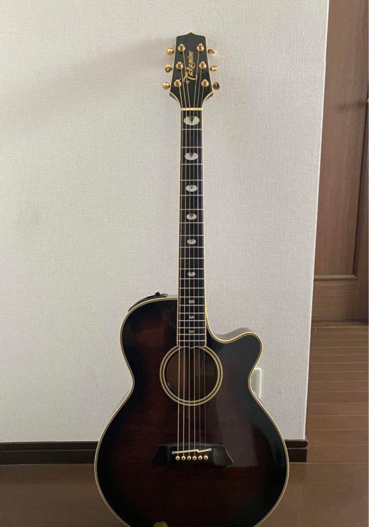 新版】 タカミネ NPT-115 エレアコ ハードケース付き 【7863576099】