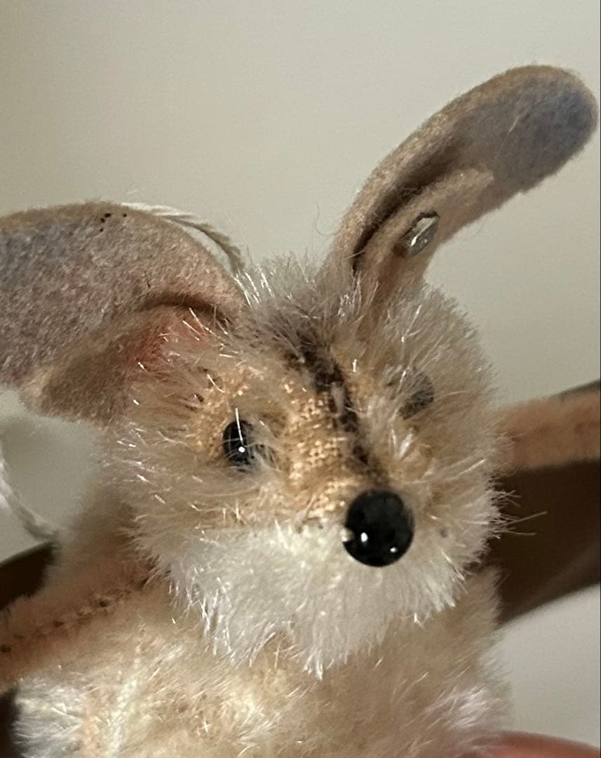 激レア】シュタイフ☆コウモリ☆