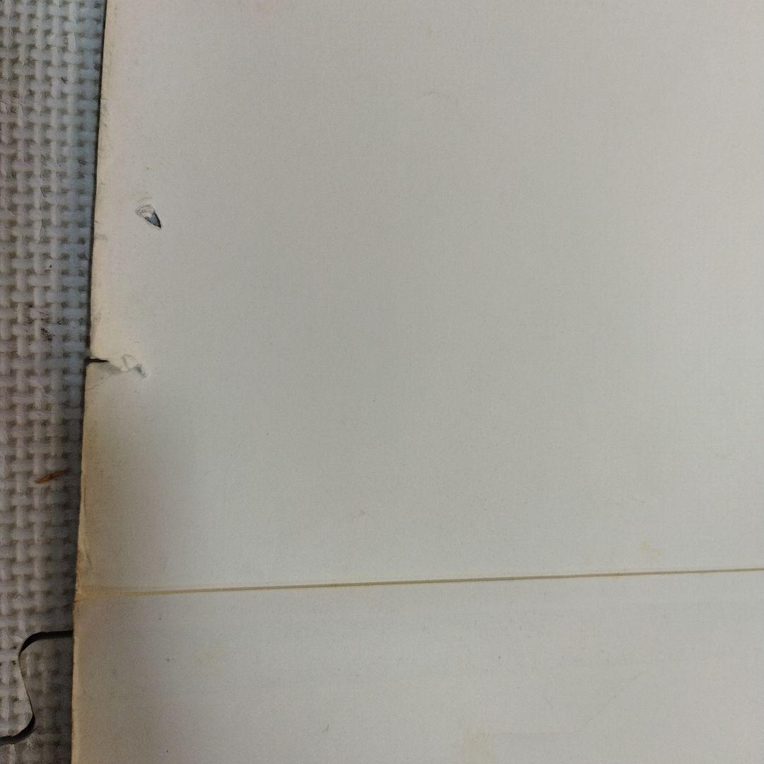 資生堂 　セリア・キャロン　特大ポスター この夏　その気