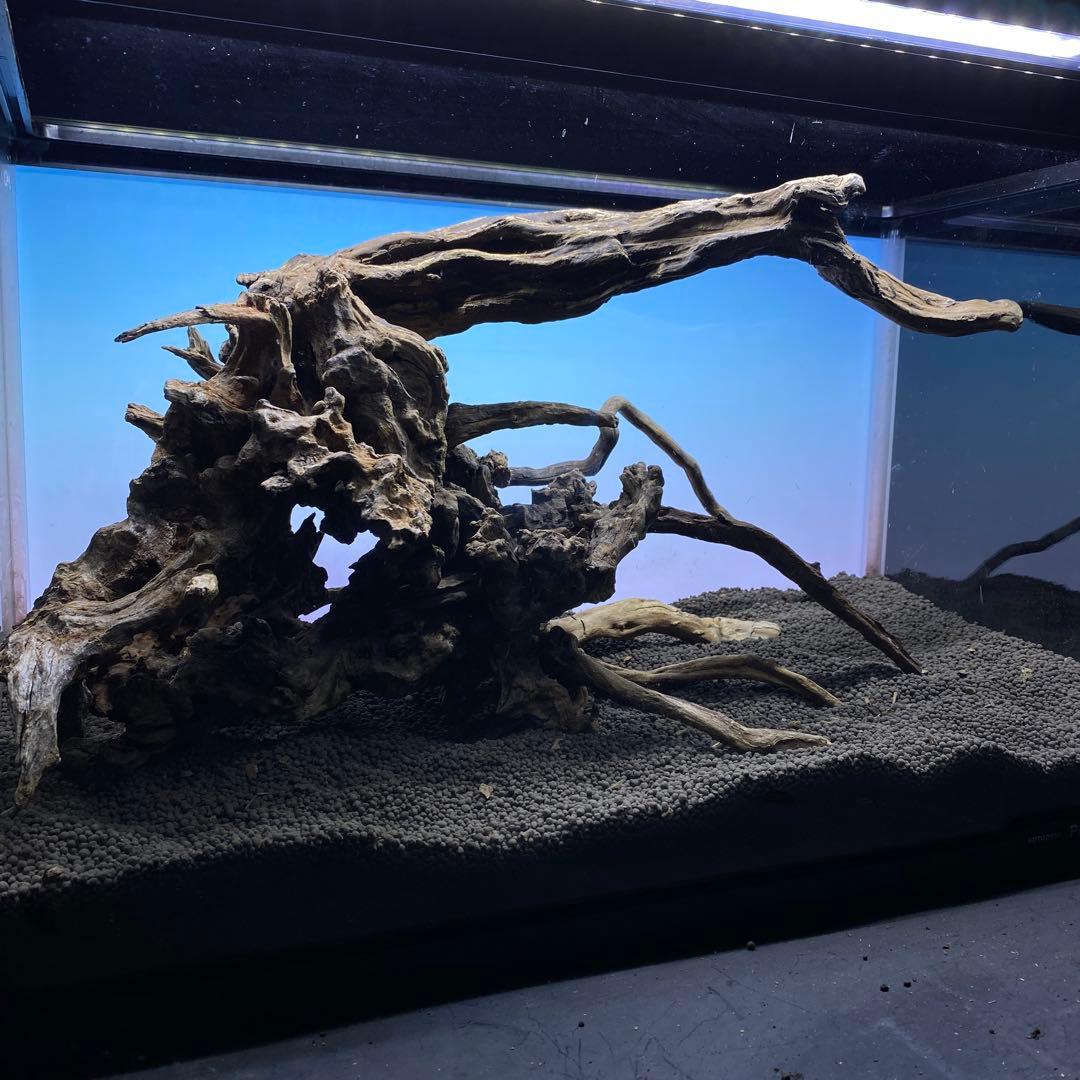 MSRW-5638 天然流木レイアウトセット スリムウッド アクアリウム 出張