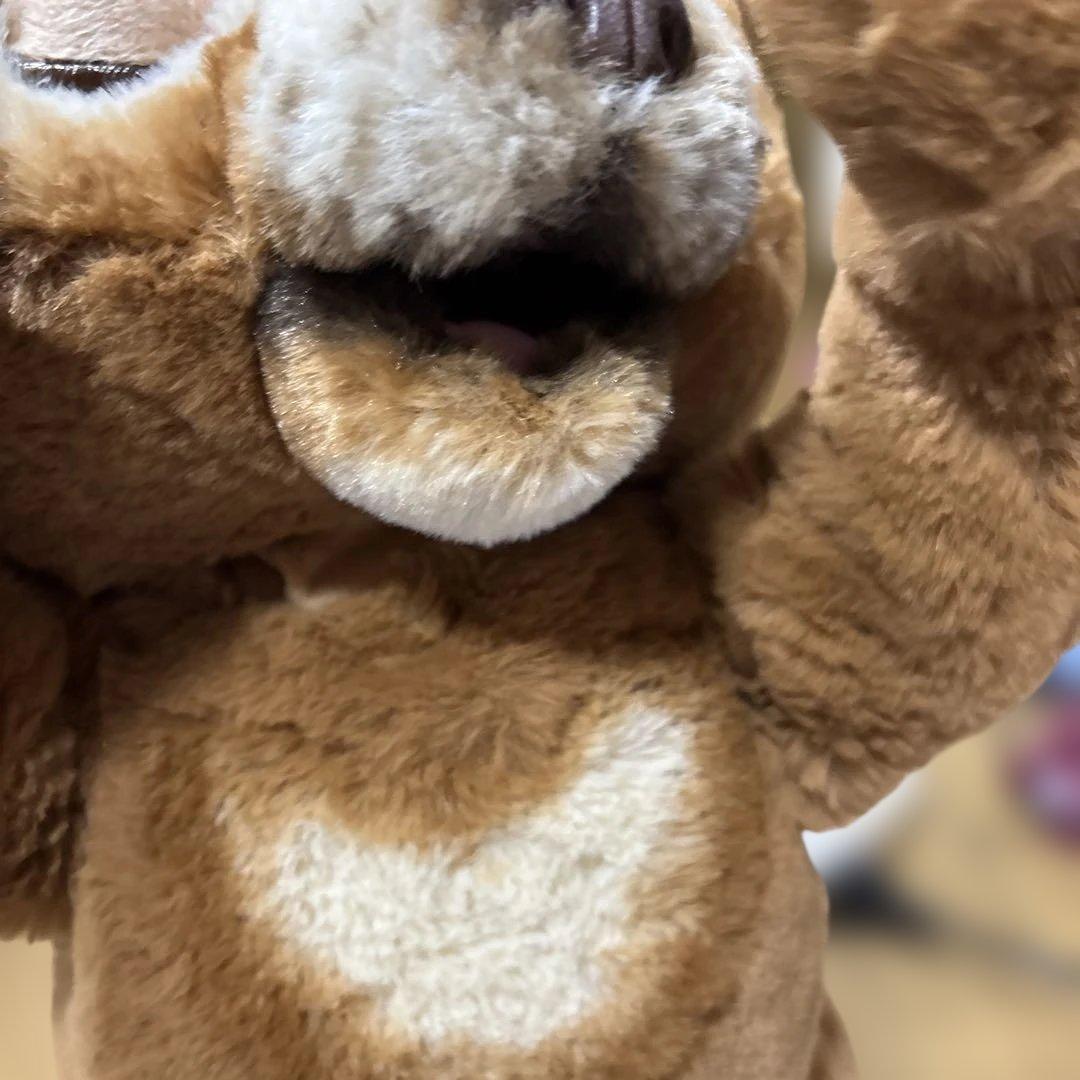 【廃盤品】レア ファーリアル 遊ぶのだいすき こぐまのカビー 動作確認済