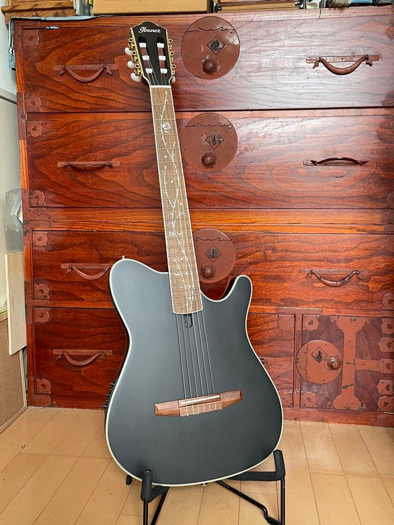 Ibanez TOD10N（Tim Henson シグネチャー / ナイロン）