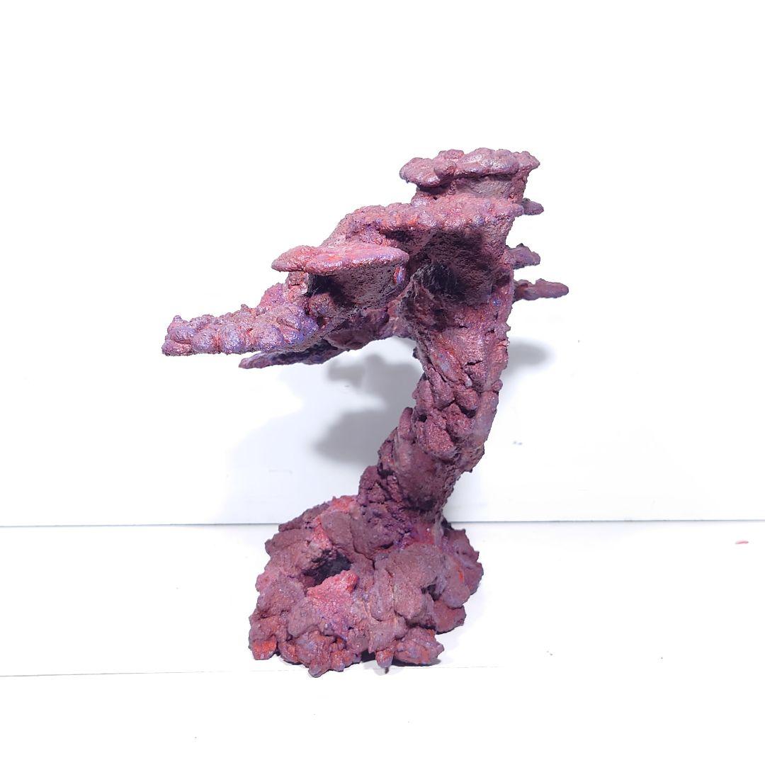 人工ライブロック《ZN-008》