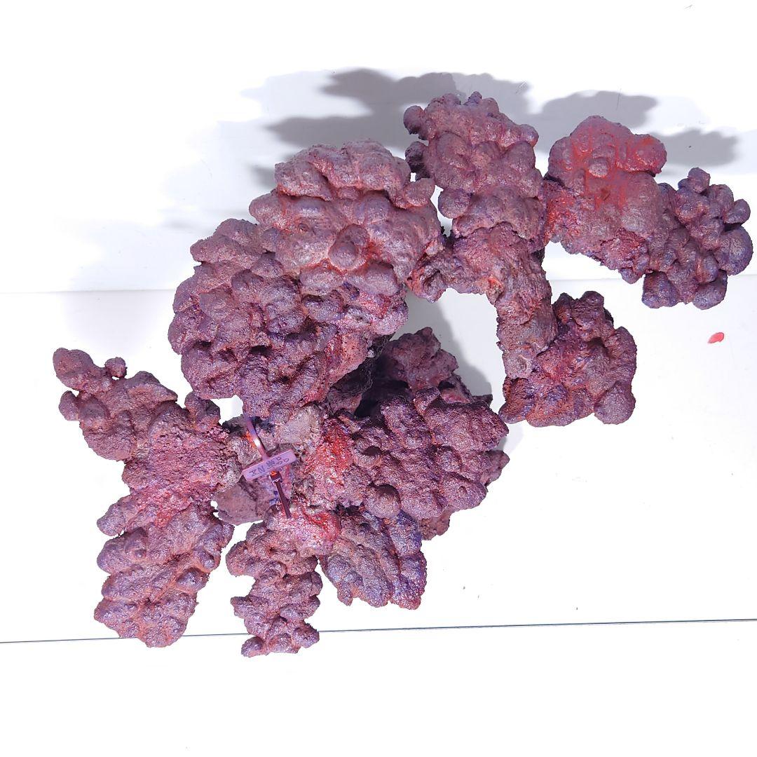 人工ライブロック《ZN-008》