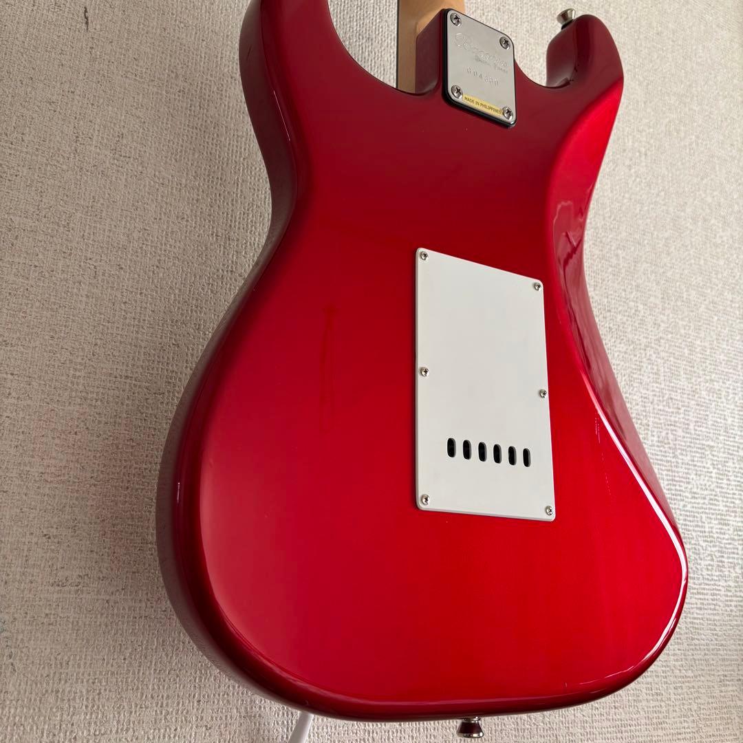 さ*こ様 Bacchas グローバルシリーズ　BST-500G CAR