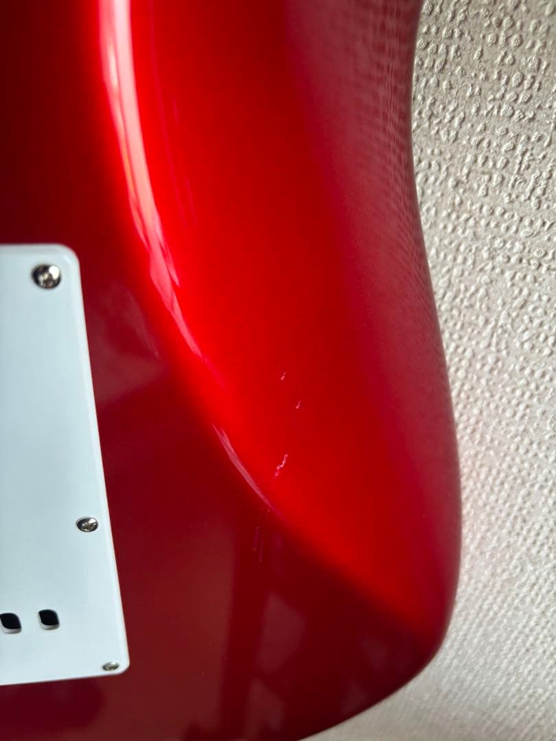 さ*こ様 Bacchas グローバルシリーズ　BST-500G CAR