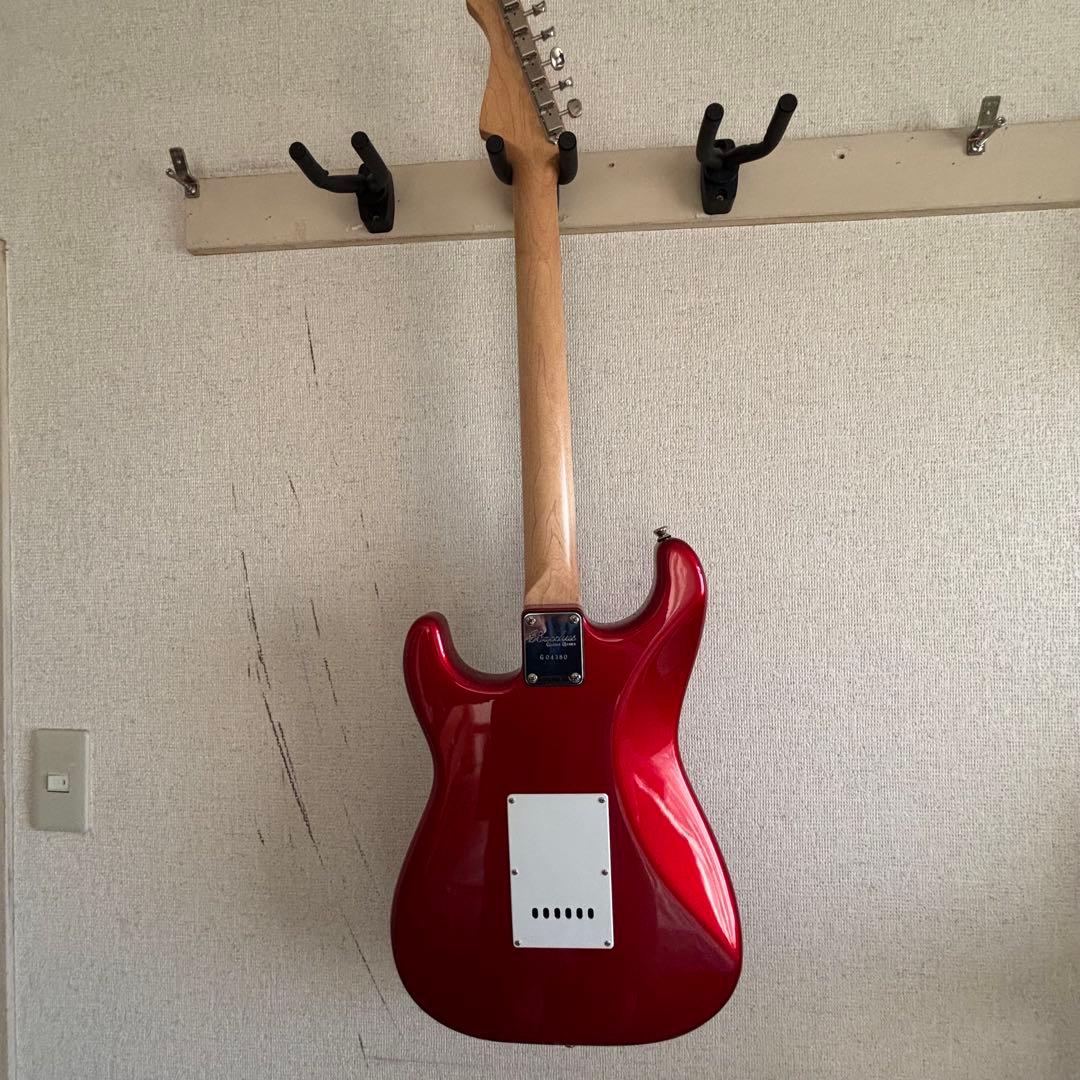 さ*こ様 Bacchas グローバルシリーズ　BST-500G CAR