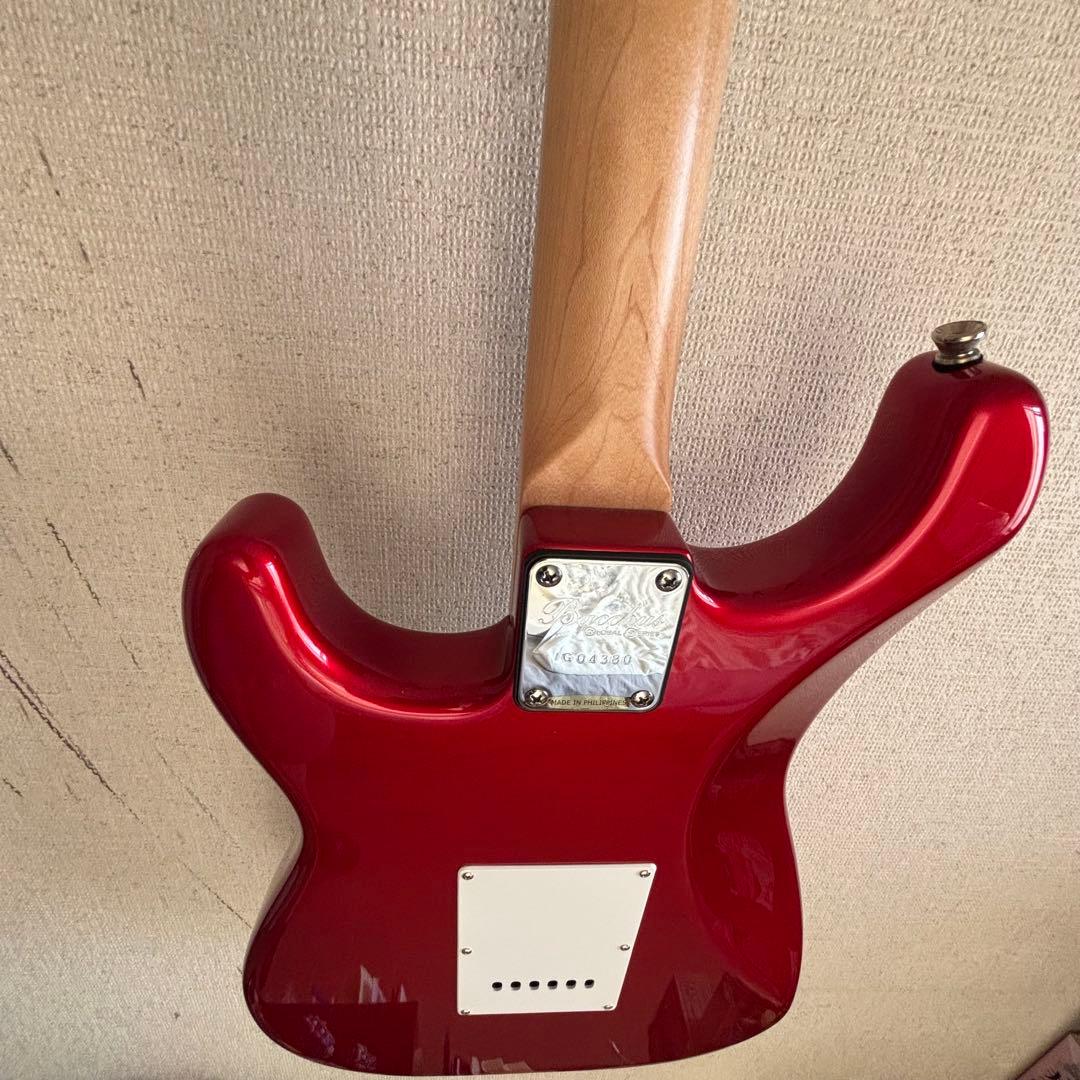 さ*こ様 Bacchas グローバルシリーズ　BST-500G CAR