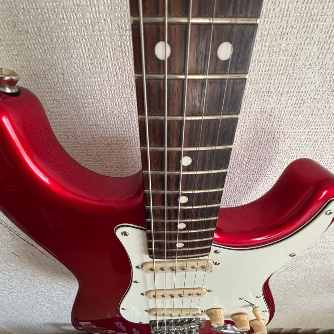 さ*こ様 Bacchas グローバルシリーズ　BST-500G CAR