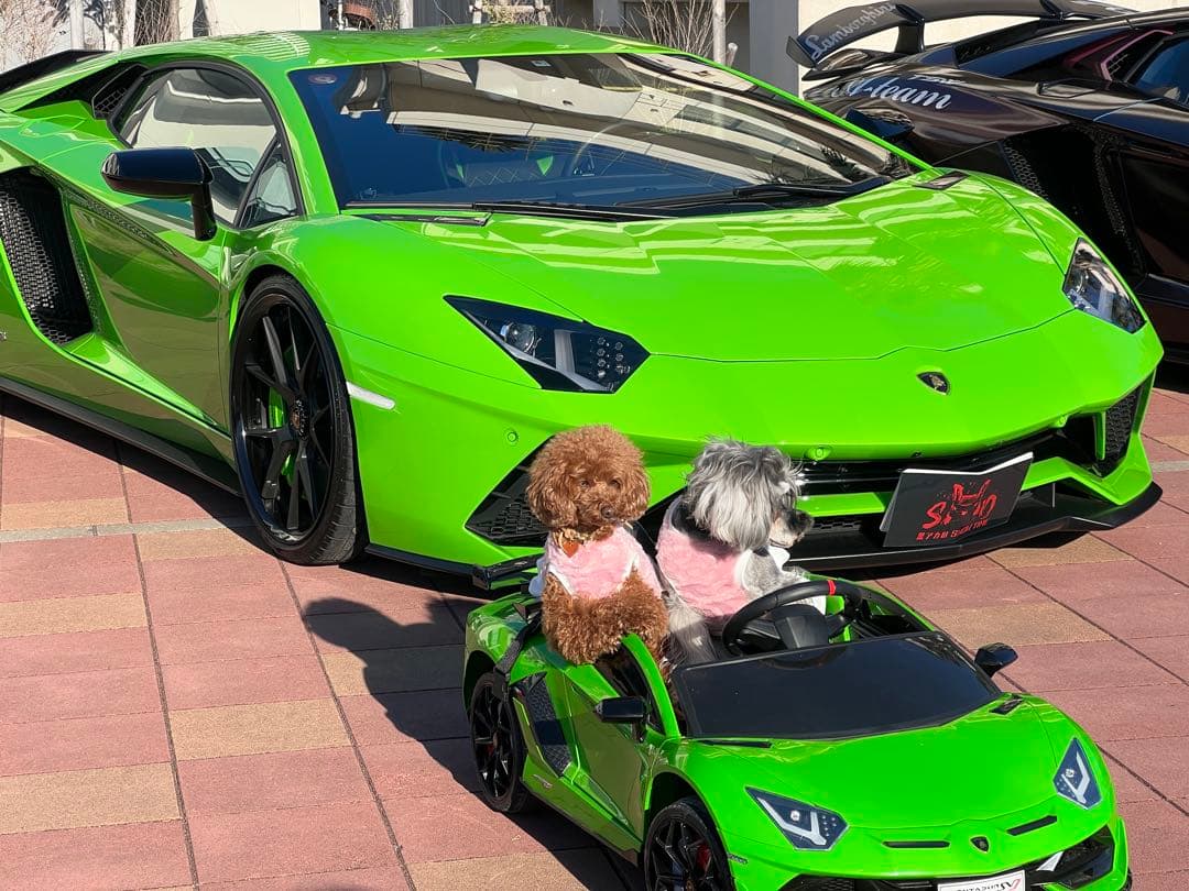 子供用 電動 カート ミニカー ランボルギーニ アベンタドール SVJ 乗用