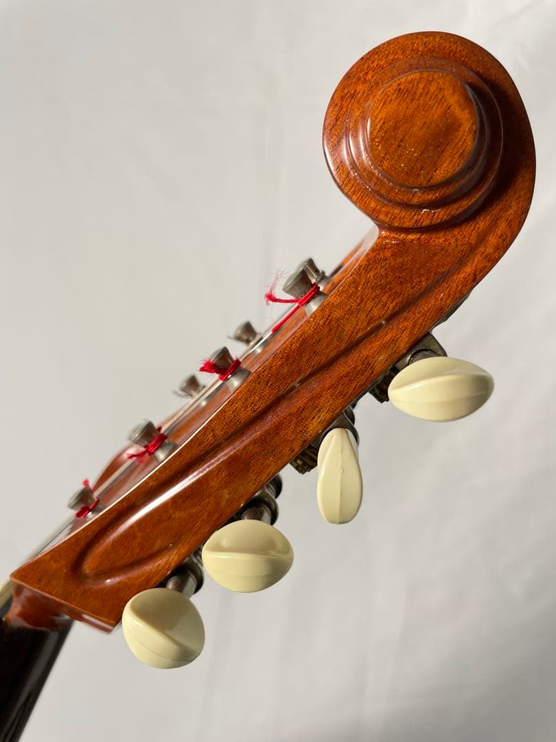 石川マンドリン/No.300 個人オーダー特注品・セミビンテージ - メルカリ