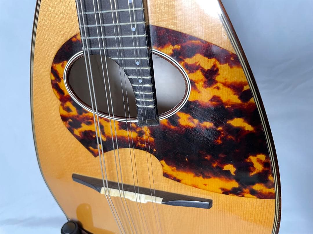 石川マンドリン/No.300 個人オーダー特注品・セミビンテージ - メルカリ