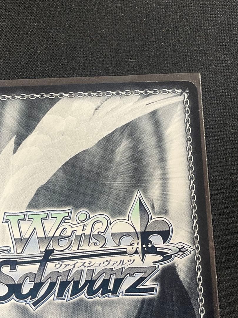 WS アウグストフォンパーセヴァル SP サイン