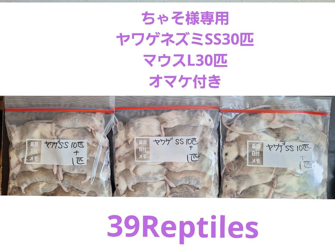 ちゃそ様専用 ちゃそ マウス L60 LL50 オマケヤワゲ入り！ ちゃそ様