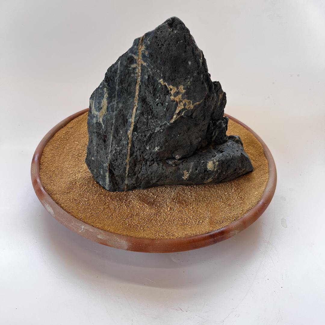 佐治石〈28〉【Taiyoメダカ】