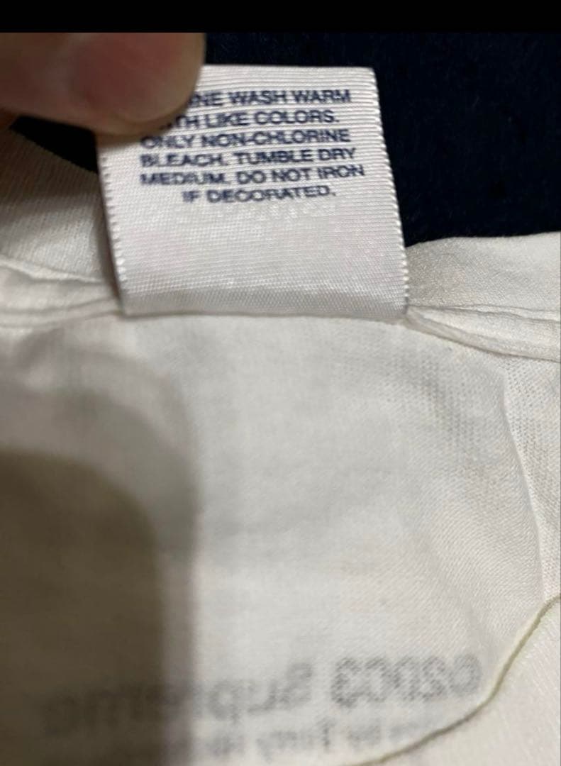 紅*ン様 【超激レアLサイズ】supreme テリーリチャード ヌードフォトグラ