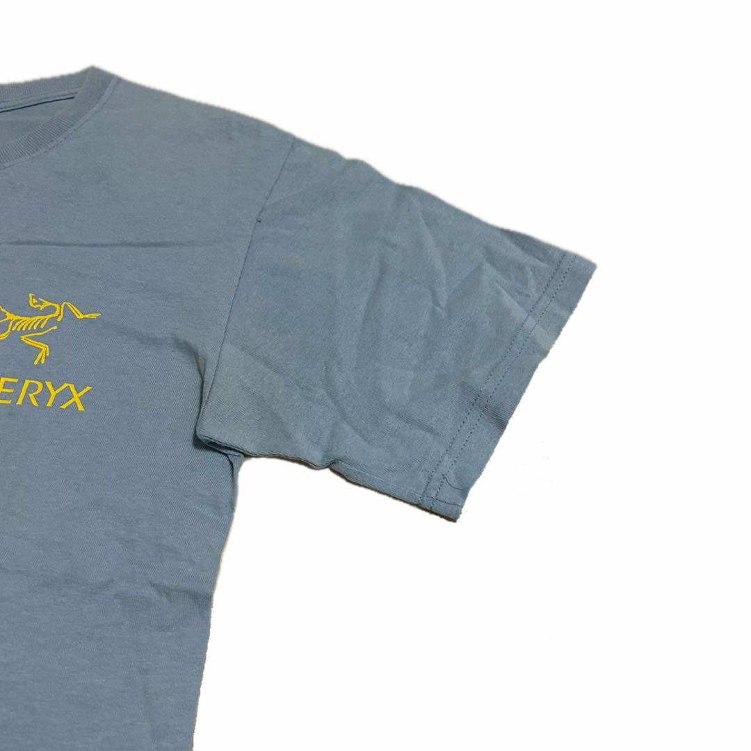 旧タグ Arc'teryx 始祖鳥ロゴTシャツ vintage 90s 00s - メルカリ