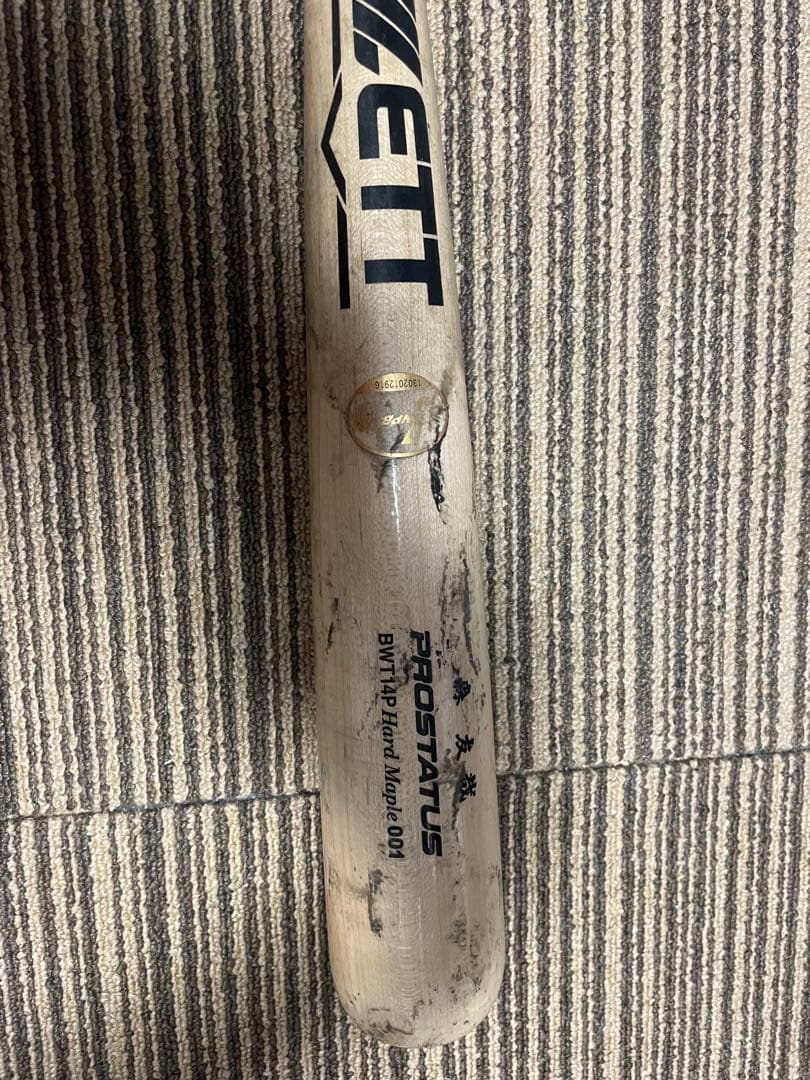 直筆サイン入り アリス 望月しいな先生オーロラアート