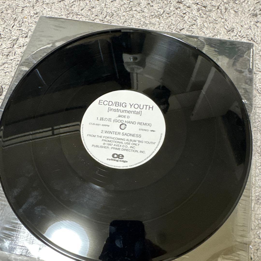 ECD/BIG YOUTH [instrumental] アナログ
