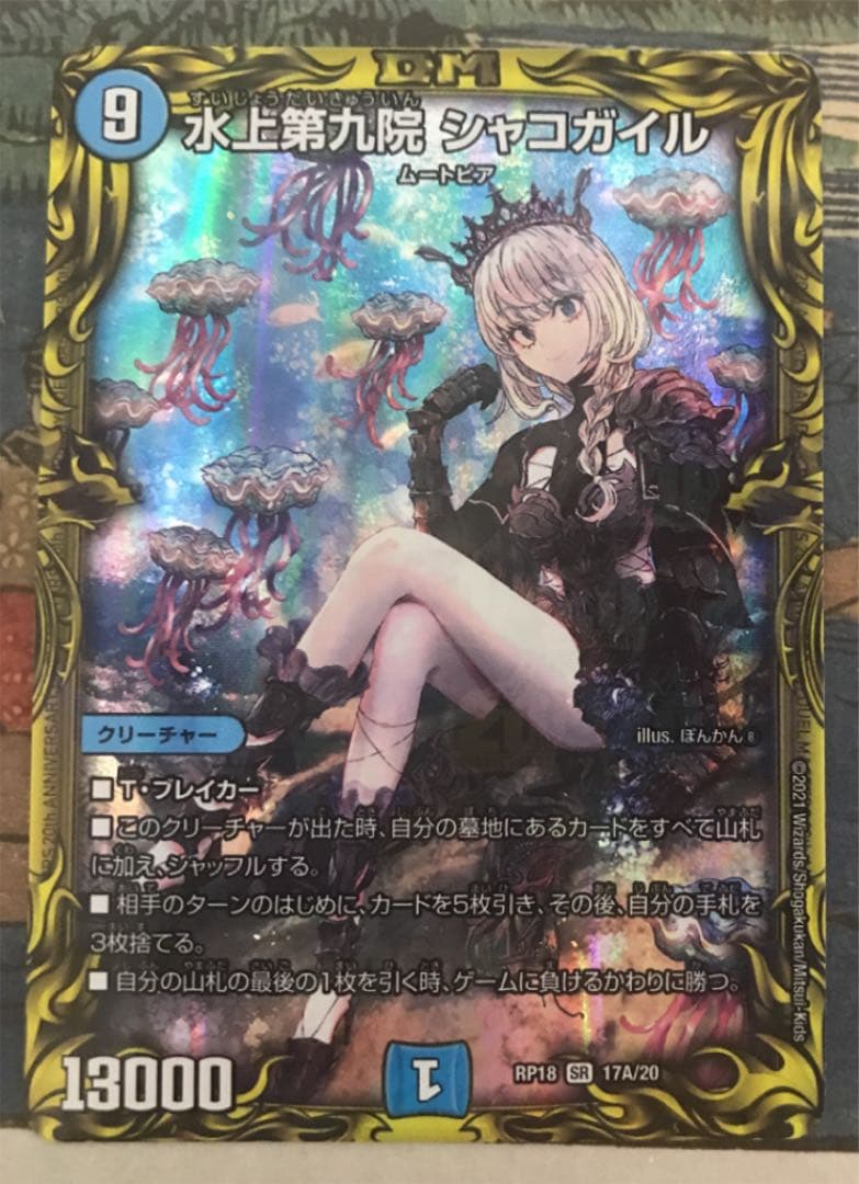 シャコガイル a シャコガイル a 2枚 【公式通販】