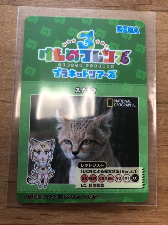 SSRロイヤルペンギン 裏面スナネコ けものフレンズ3 アナザー