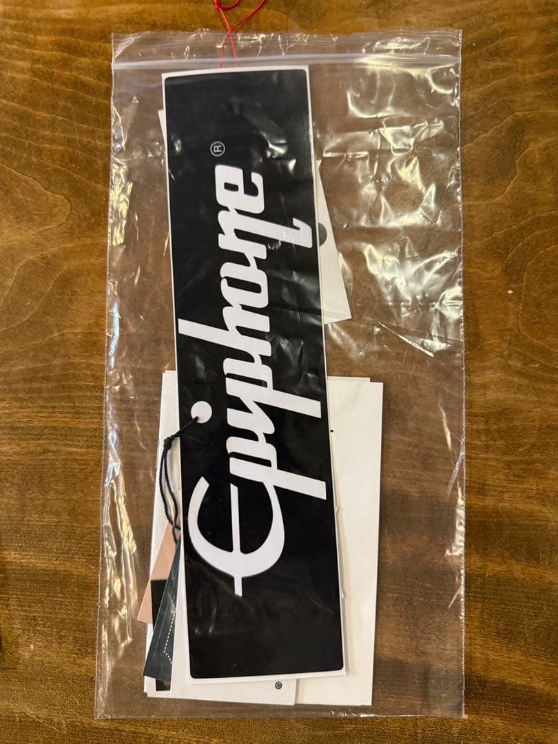 Epiphone Les Paul Studio (2024年4月新品購入品）