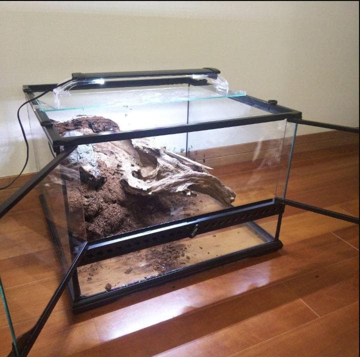 【受注生産】鳥かご　トカゲ飼育 受注生産】鳥かご トカゲ飼育 受注生産】鳥かご トカゲ飼育 受注生産