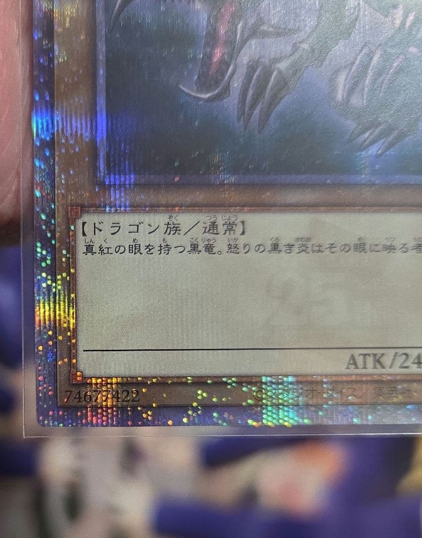 真紅眼の黒竜25thシク　 クォーターセンチュリーシークレットレア