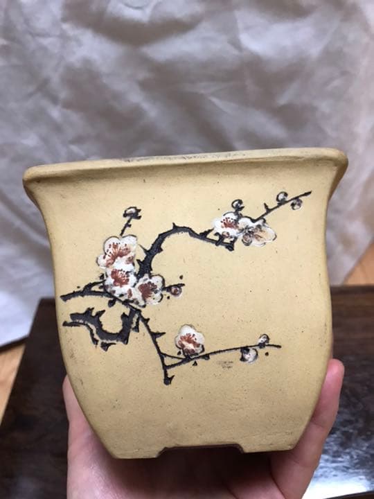 盆栽鉢　時代小品盆栽鉢白正方鉢梅図竹図中国 盆栽鉢 時代小品盆栽鉢白正方鉢梅図竹図中国 現代中国
