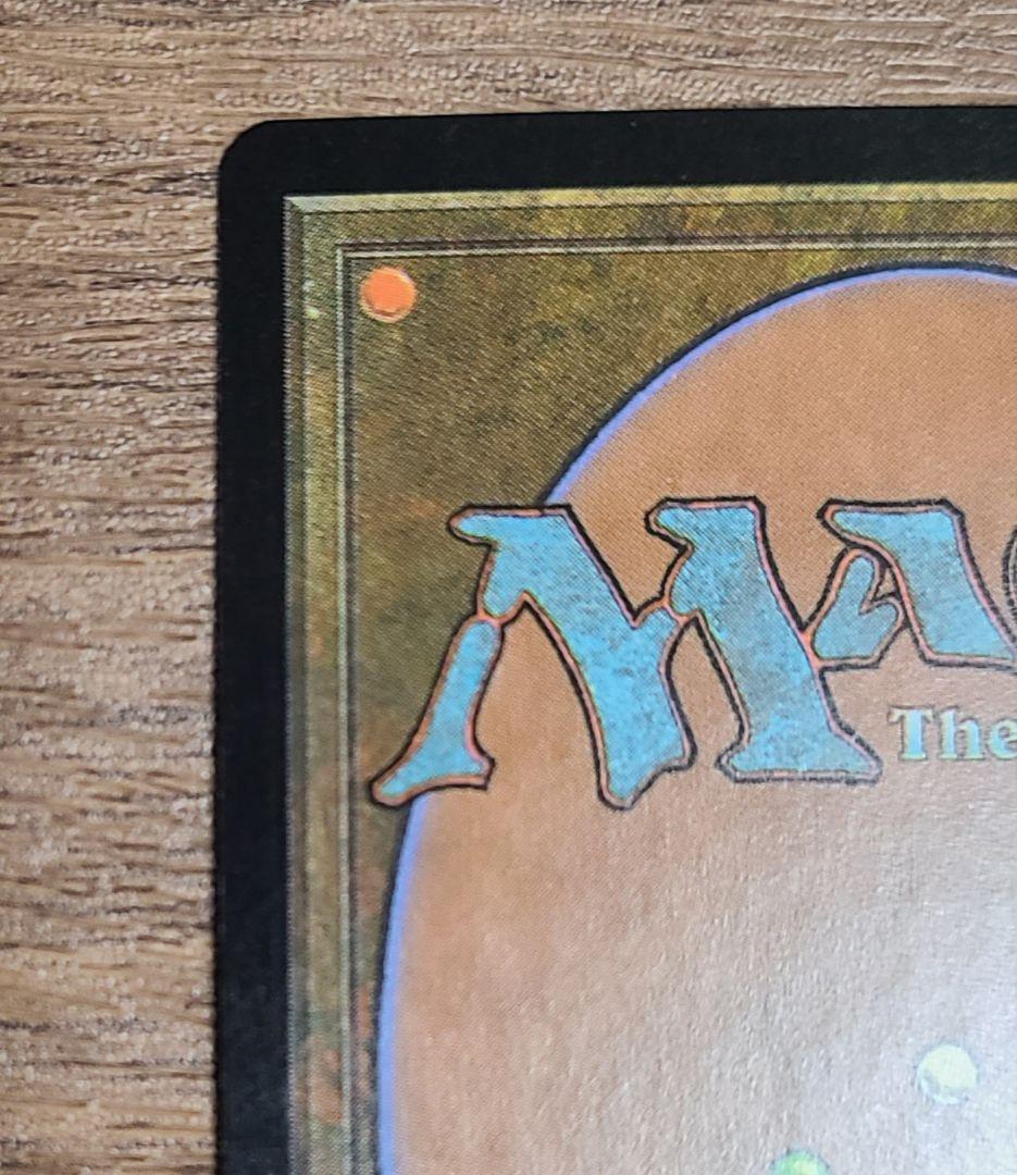 美品】MTG 低木林地 7版 日本語 ホイル Foil マジックザギャザリング