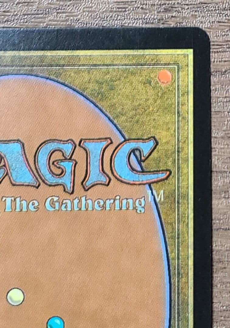 美品】MTG 低木林地 7版 日本語 ホイル Foil マジックザギャザリング