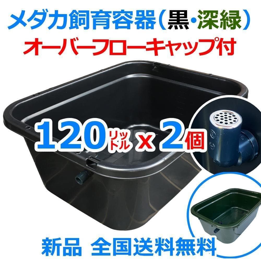 メダカ飼育ケース 120㍑x2個 黒・濃緑あり オーバーフロー 金魚飼育