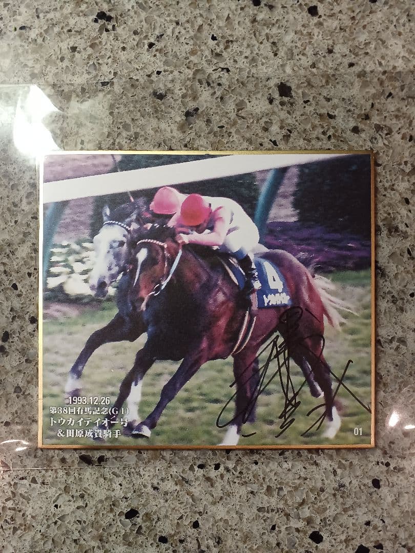 トウカイテイオー&田原成貴 直筆サインmini色紙 有馬記念優勝馬