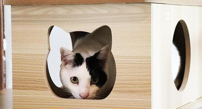 アウトレット1 キャットタワー 木製 宇宙船 展望台 多頭飼い 大型