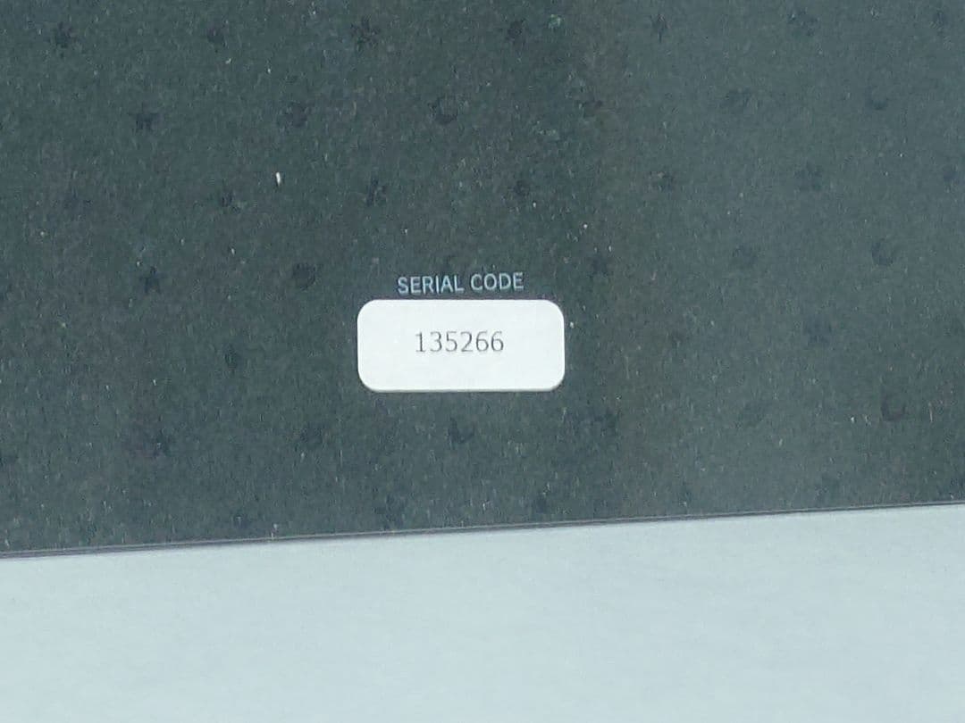 リセ lycee 冬馬かずさ 直筆サイン 生天目仁美