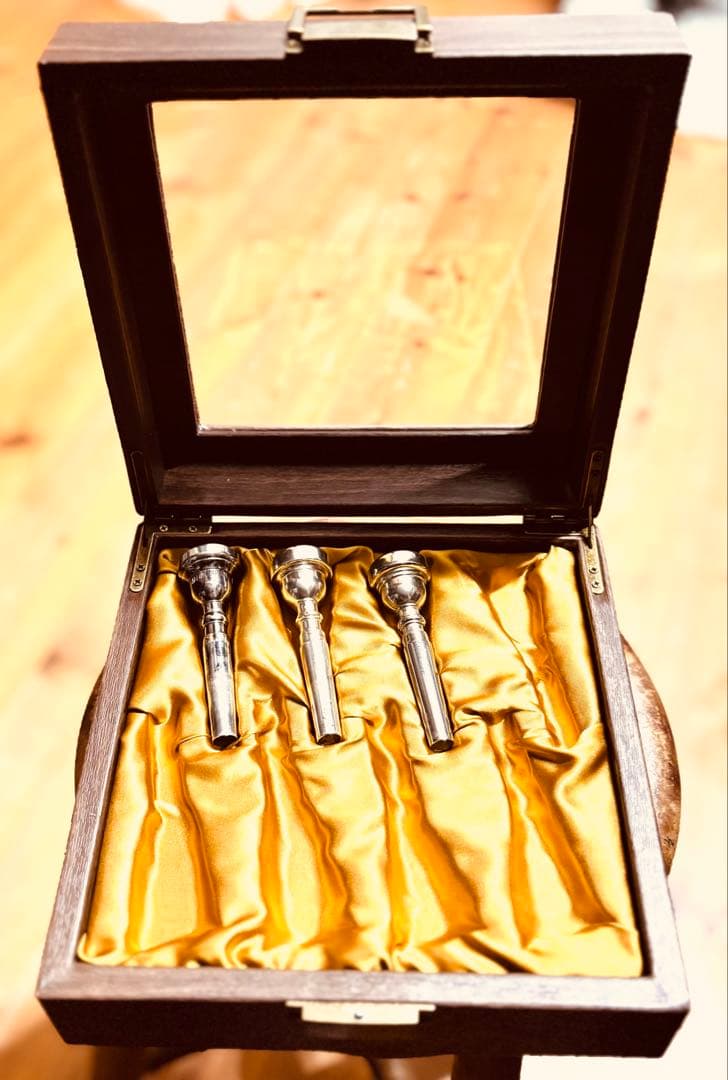 新品】トランペットorホルンマウスピース収納ボックスケース（保管用）