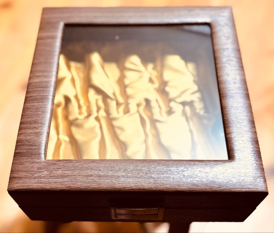 新品】トランペットorホルンマウスピース収納ボックスケース（保管用