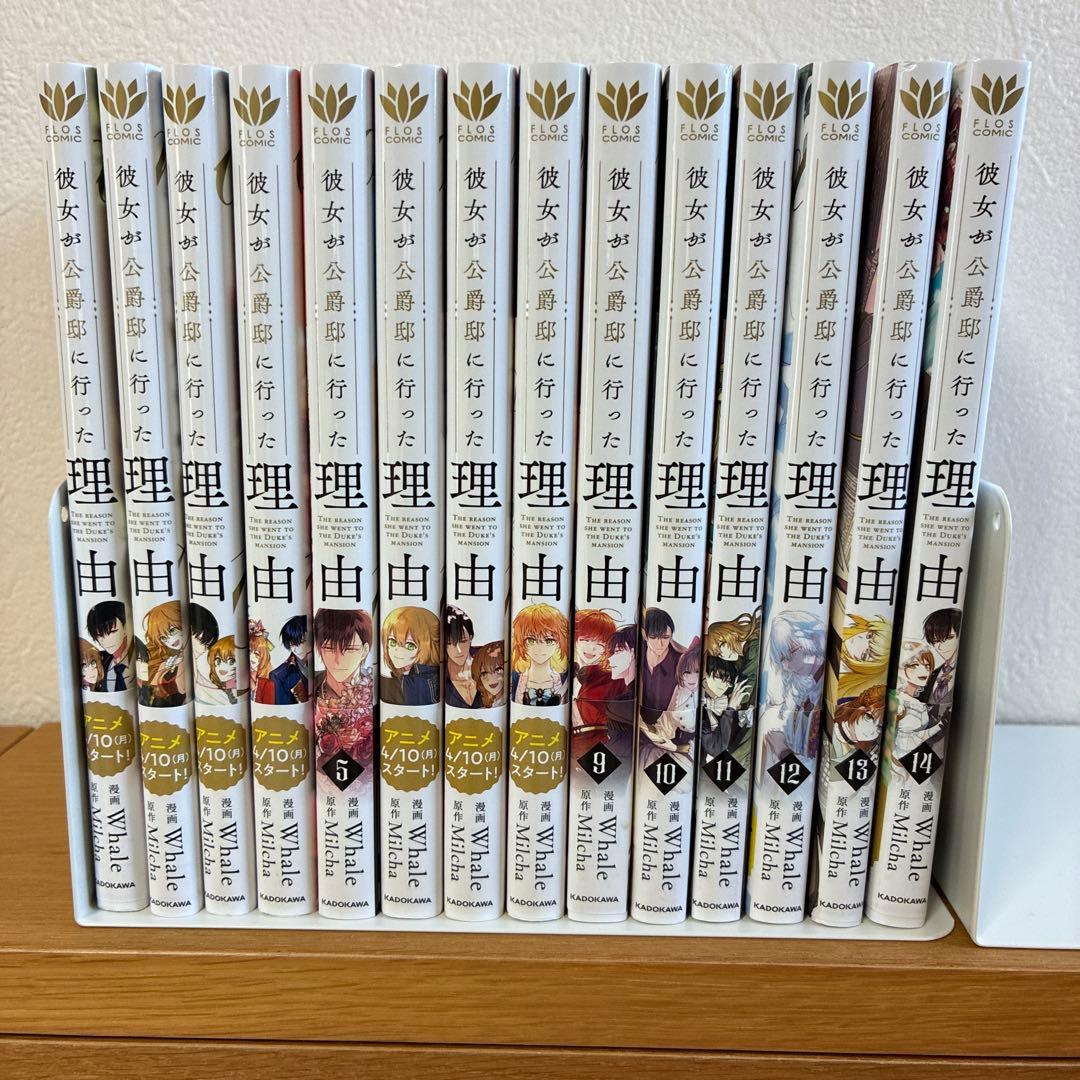 彼女が公爵邸に行った理由 1〜14巻 完結全巻