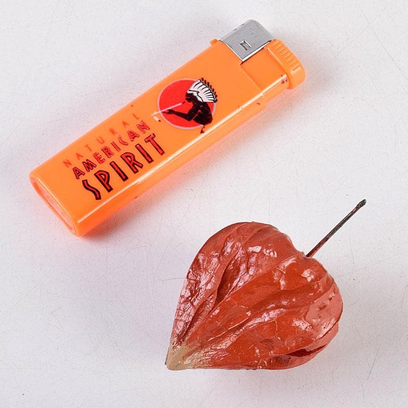 茶道具 田中健智作 乾漆 ほおずき香合 共箱 V 8387