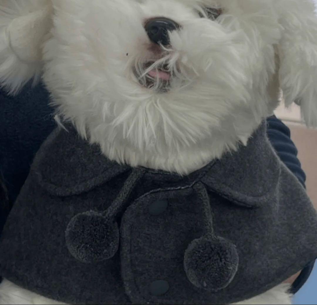 韓国犬服ブランド リバーシブルウールポンチョ