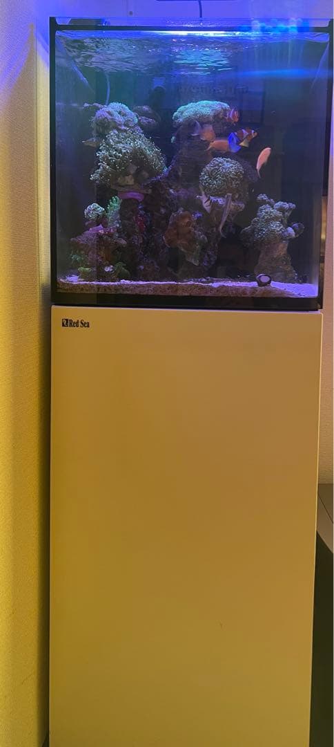 ⭐︎金額相談受けます！！オーバーフロー水 槽 レッドシーリーファーNANO