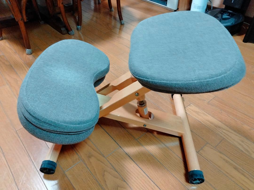 ディープインパクト 皐月賞勝利 現地馬券 写真額縁 本物たてがみ