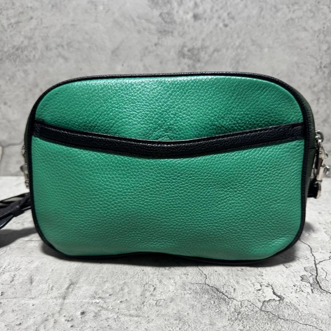未使用級✨️コーチ カメラバッグ ショルダーバッグ 2層 レザー ゼブラ グリーン