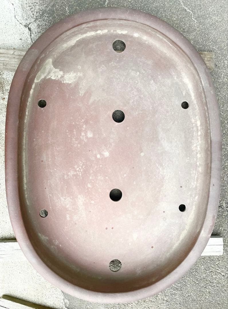 盆栽 鉢 60cm 大型 特大 常滑焼 松泉焼 山秋