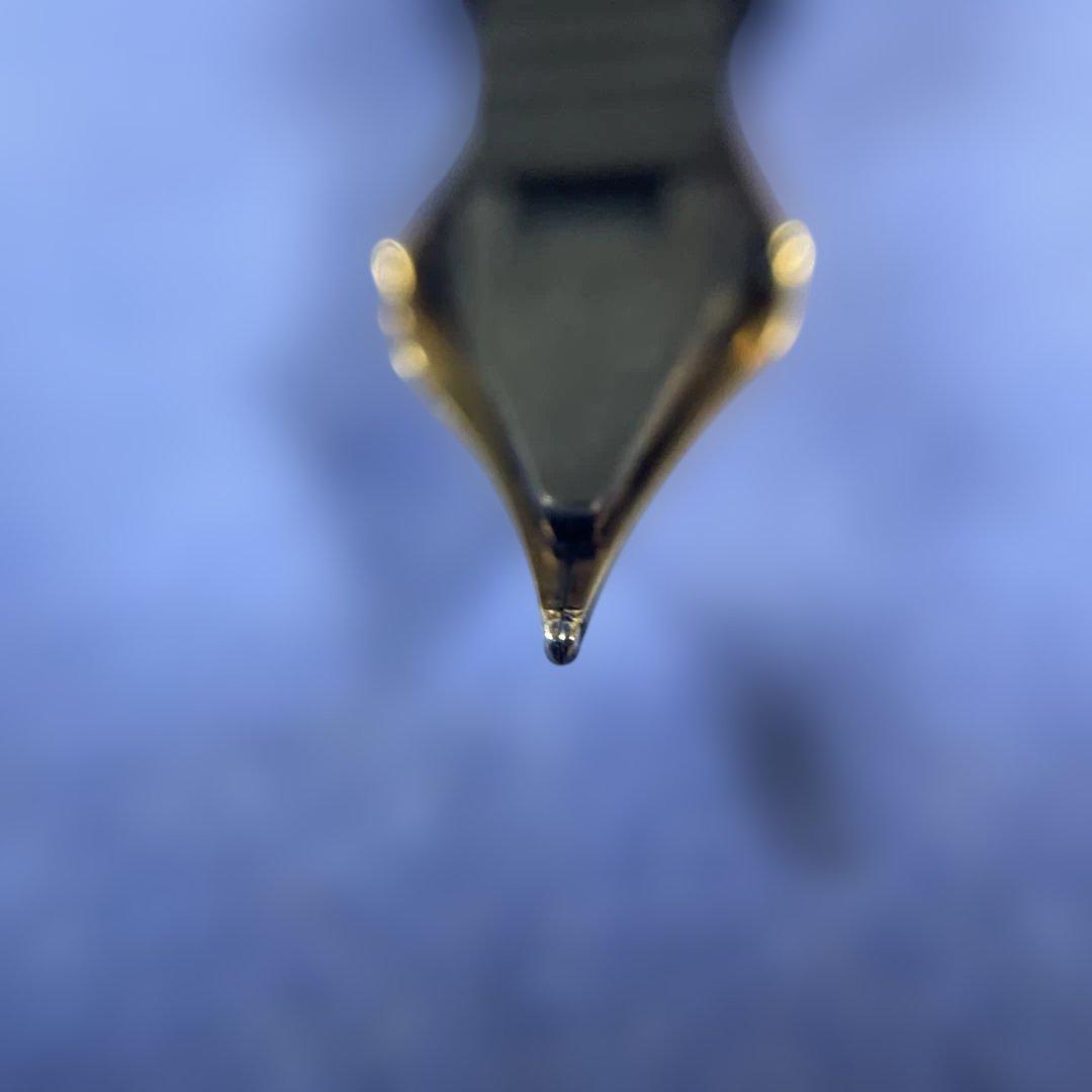 PLATINUM ブライヤー万年筆 インク付き