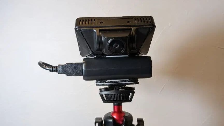 真作】絵画 日本画10号 威風堂々 草叢に憩う虎 精緻な筆致 Y133