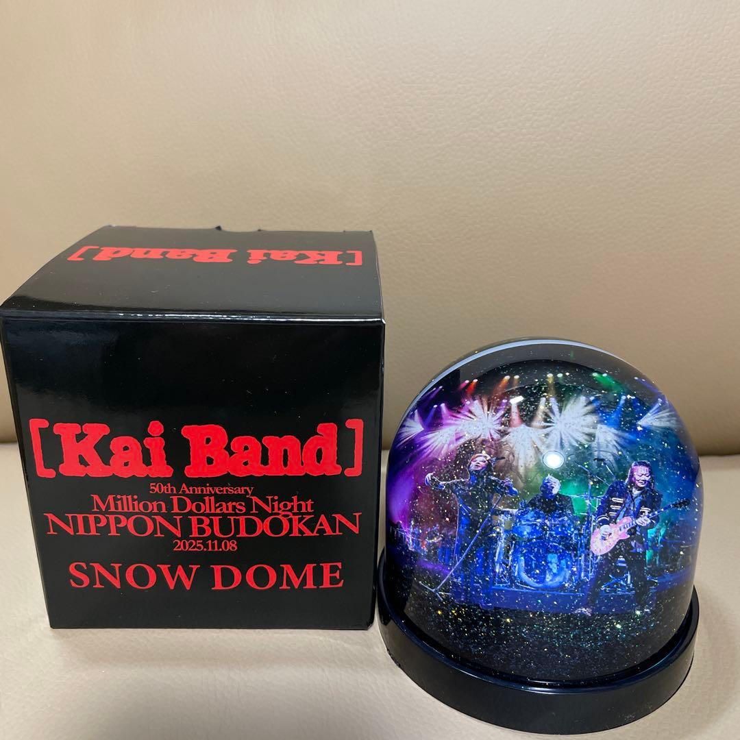 甲斐バンド】 日本武道館ライブ VIP特典 Snow Dome - メルカリ