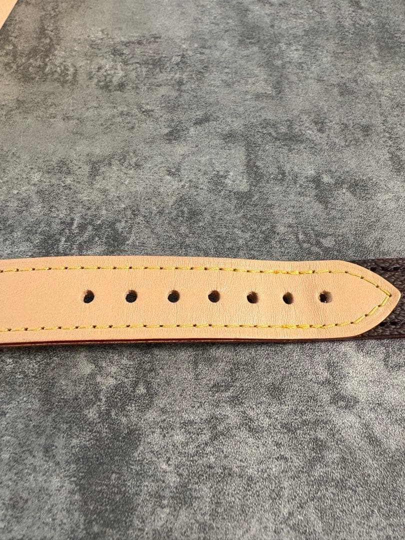 ✨新品試着のみ✨LOUIS VUITTON/首輪/定価73,700円/PMサイズ - メルカリ